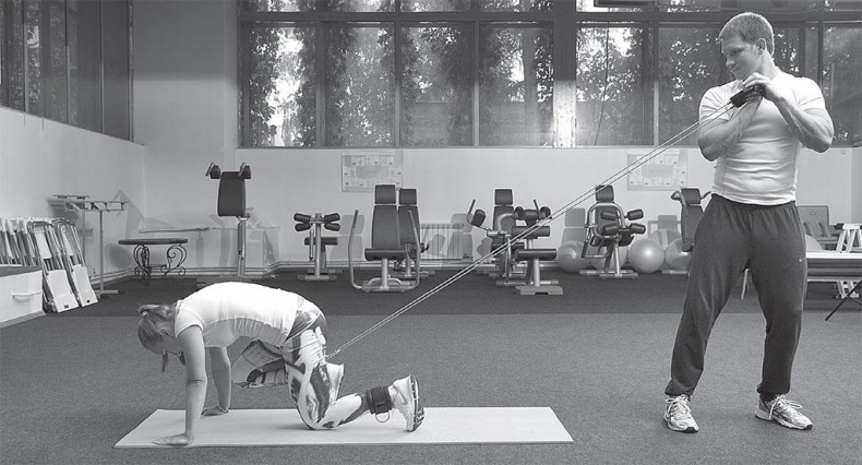 Азбука здоровья. Все о позвоночнике и суставах от А до Я Азбука здоровья. Все о позвоночнике и суставах от А до Я