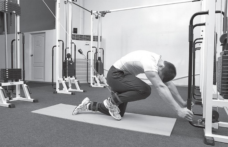 Азбука здоровья. Все о позвоночнике и суставах от А до Я Азбука здоровья. Все о позвоночнике и суставах от А до Я