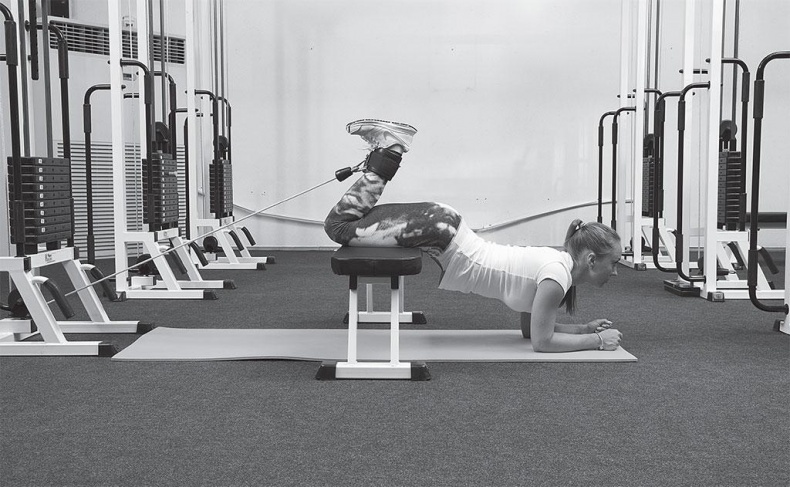 Азбука здоровья. Все о позвоночнике и суставах от А до Я Азбука здоровья. Все о позвоночнике и суставах от А до Я