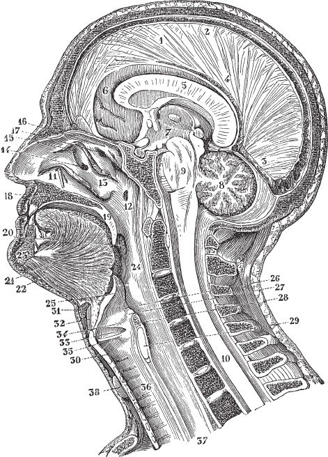 Модицина 2. Апология Модицина 2. Апология