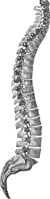 Модицина 2. Апология Модицина 2. Апология
