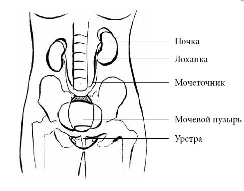 Если ваш ребенок заболел. Что должны знать и уметь родители
