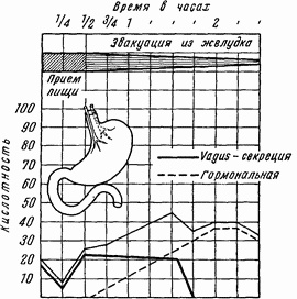 Этюды желудочной хирургии