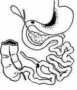 Этюды желудочной хирургии