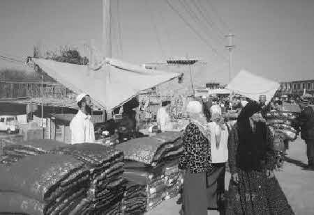 Тайны великой пустыни. Миражи Такла-Макан