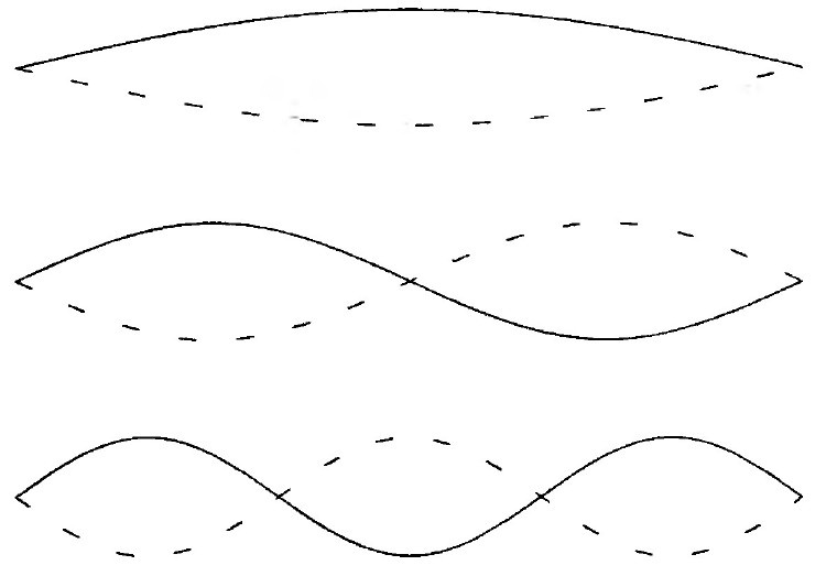 Мир многих миров. Физики в поисках иных вселенных