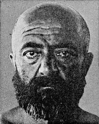 Расы Европы