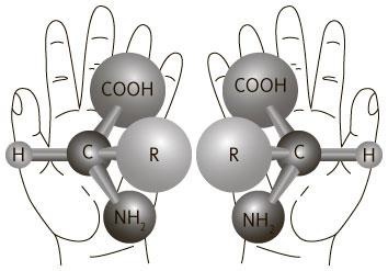 Руководитель проектов. Все навыки, необходимые для работы Руководитель проектов. Все навыки, необходимые для работы