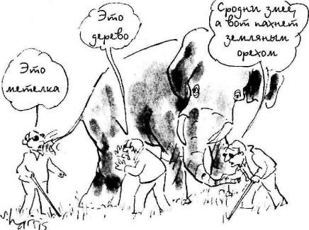 Пять нерешенных проблем науки