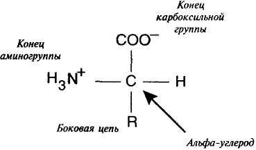 Пять нерешенных проблем науки