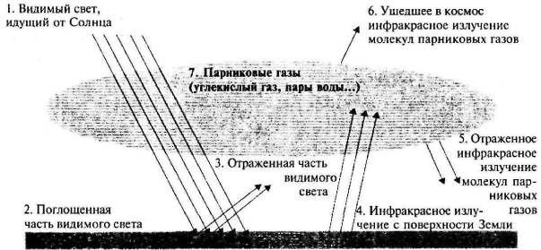 Пять нерешенных проблем науки