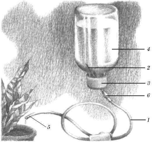 Веселые научные опыты и эксперименты Веселые научные опыты и эксперименты