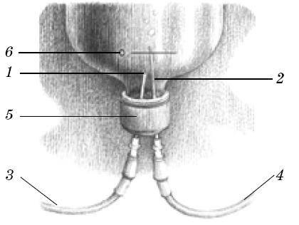 Веселые научные опыты и эксперименты Веселые научные опыты и эксперименты
