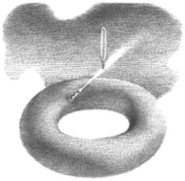 Веселые научные опыты и эксперименты Веселые научные опыты и эксперименты