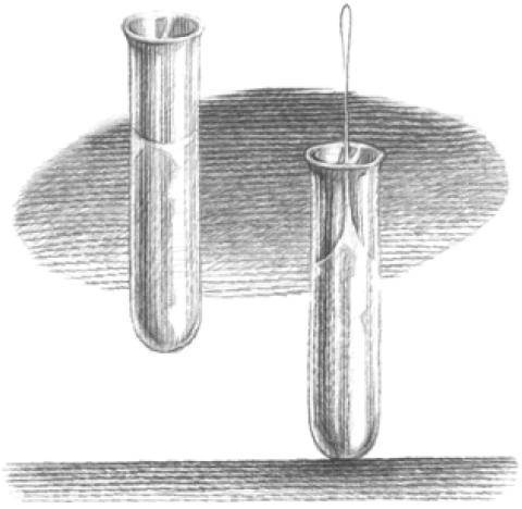 Веселые научные опыты и эксперименты Веселые научные опыты и эксперименты