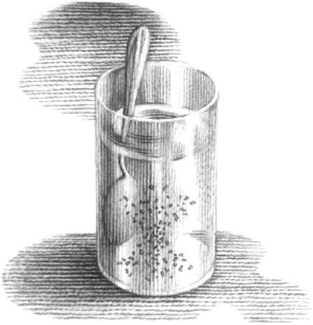 Веселые научные опыты и эксперименты Веселые научные опыты и эксперименты