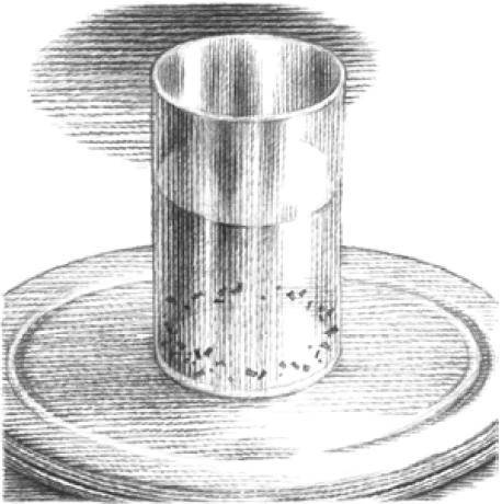 Веселые научные опыты и эксперименты Веселые научные опыты и эксперименты