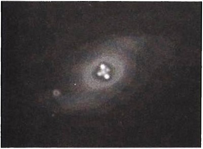 Эволюция Вселенной и происхождение жизни