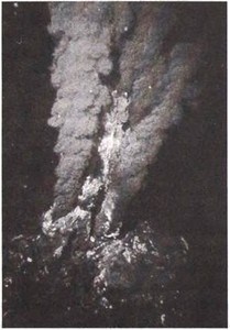 Эволюция Вселенной и происхождение жизни