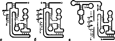 Эволюция Вселенной и происхождение жизни