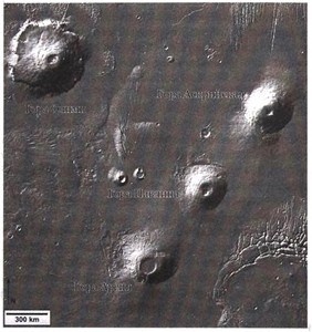 Эволюция Вселенной и происхождение жизни