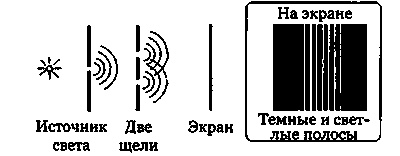 Эволюция Вселенной и происхождение жизни
