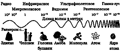 Эволюция Вселенной и происхождение жизни