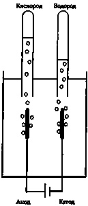 Эволюция Вселенной и происхождение жизни