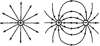 Эволюция Вселенной и происхождение жизни