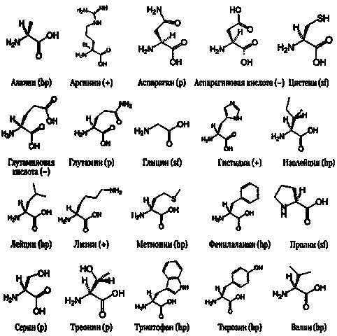 Эволюция Вселенной и происхождение жизни