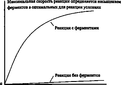 Эволюция Вселенной и происхождение жизни