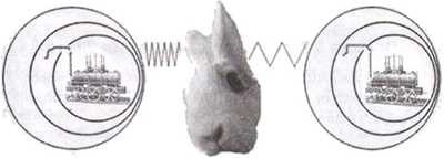 Эволюция Вселенной и происхождение жизни