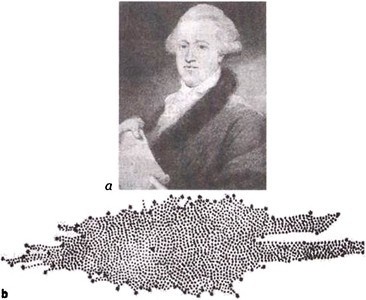 Эволюция Вселенной и происхождение жизни