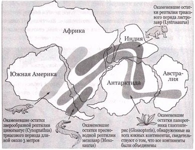 Эволюция Вселенной и происхождение жизни