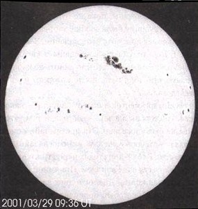 Эволюция Вселенной и происхождение жизни