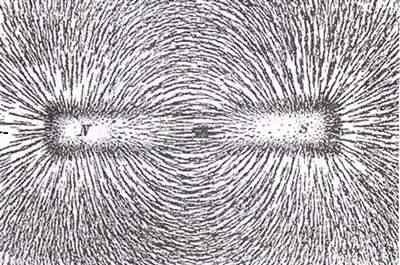 Эволюция Вселенной и происхождение жизни