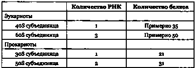 Эволюция Вселенной и происхождение жизни