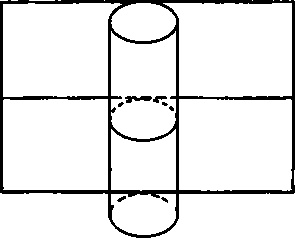 Эволюция Вселенной и происхождение жизни