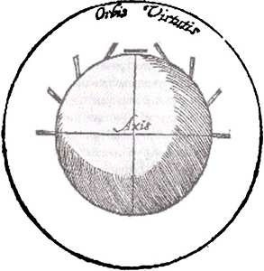 Эволюция Вселенной и происхождение жизни