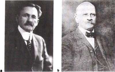 Эволюция Вселенной и происхождение жизни