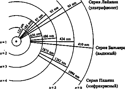 Эволюция Вселенной и происхождение жизни