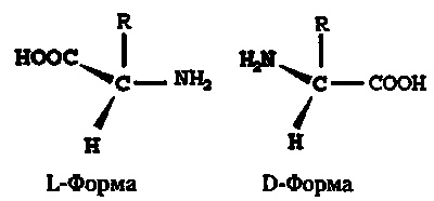 Эволюция Вселенной и происхождение жизни