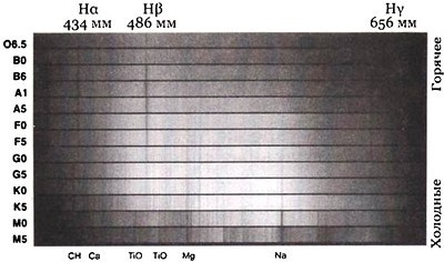 Эволюция Вселенной и происхождение жизни