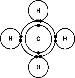 Эволюция Вселенной и происхождение жизни