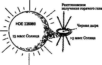Эволюция Вселенной и происхождение жизни