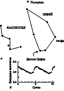 Эволюция Вселенной и происхождение жизни