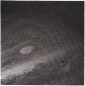 Эволюция Вселенной и происхождение жизни