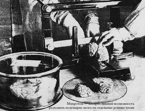 Мозг отправьте по адресу...