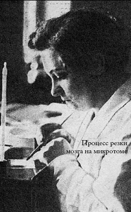 Мозг отправьте по адресу...