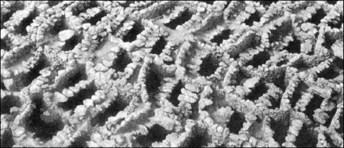 Генезис цивилизации. Откуда мы произошли...